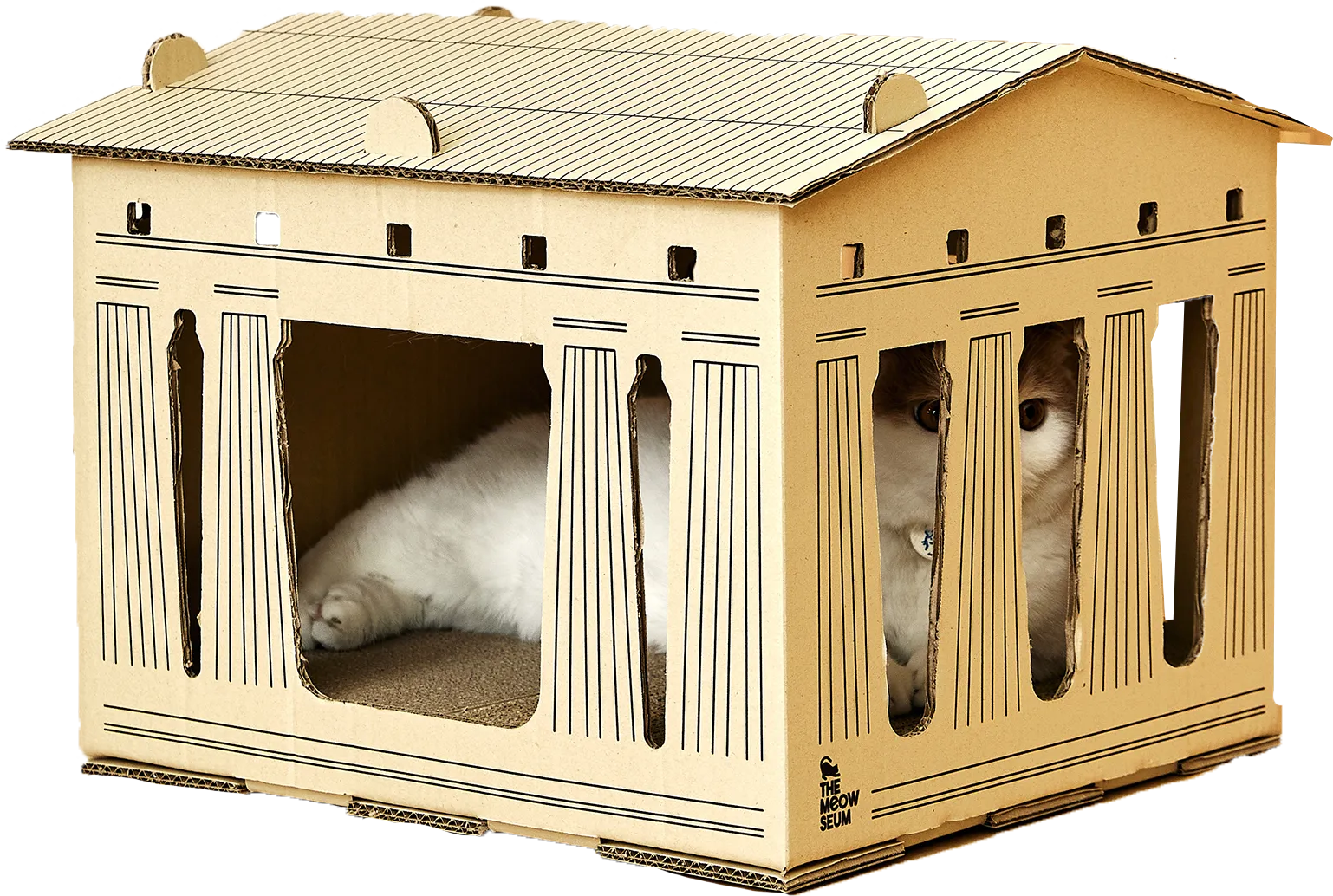 A cat at home inside The Parthenon cardboard cat house