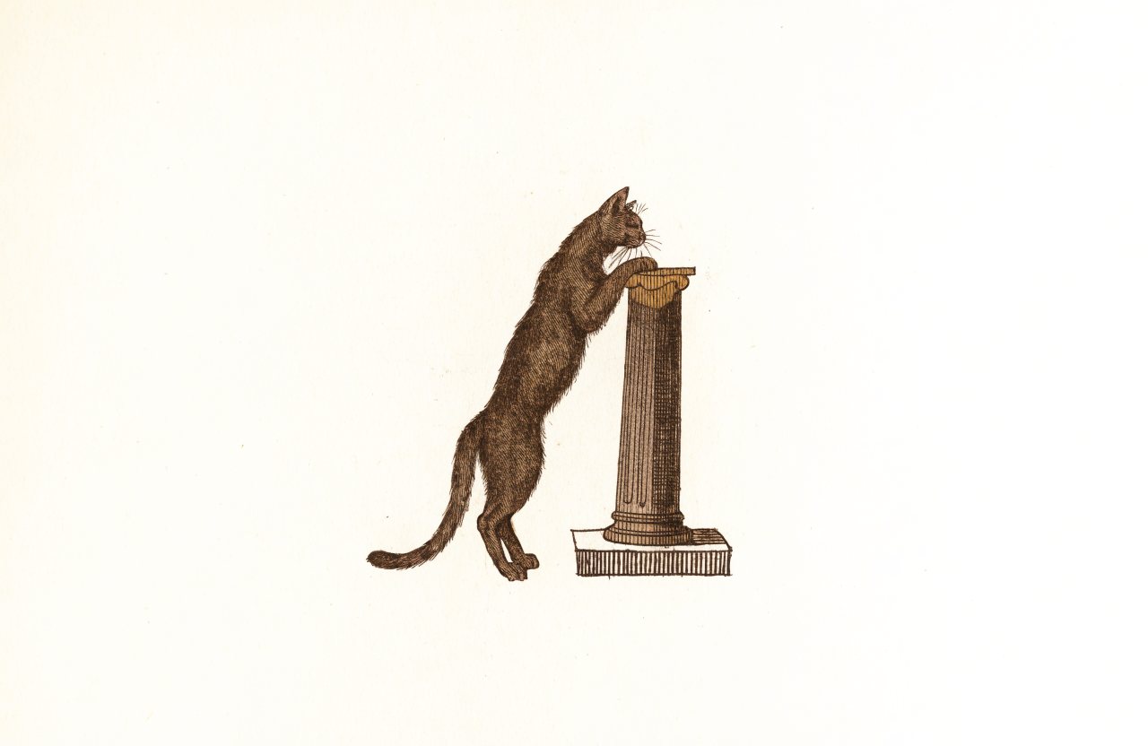 Engraving-style illustration of a cat stretching to sharpen its claws on a classical fluted column