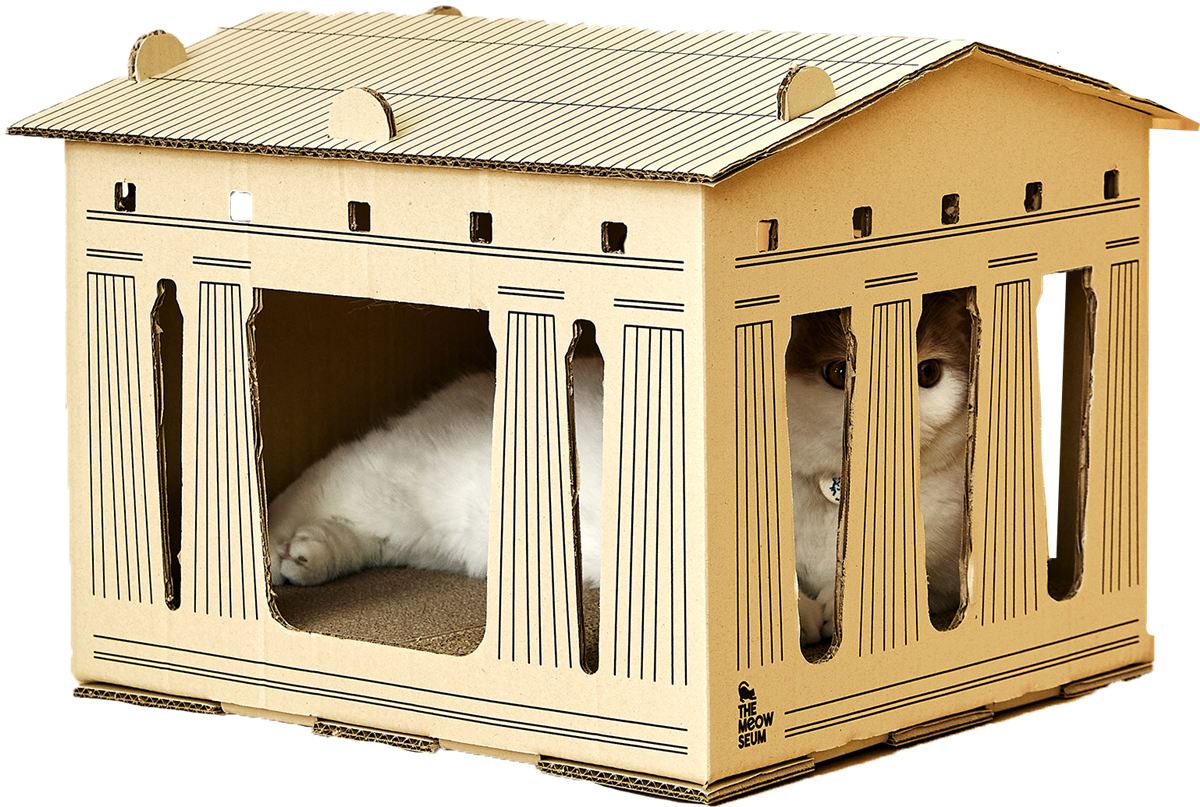 The Parthenon cardboard cat house by The Meowseum