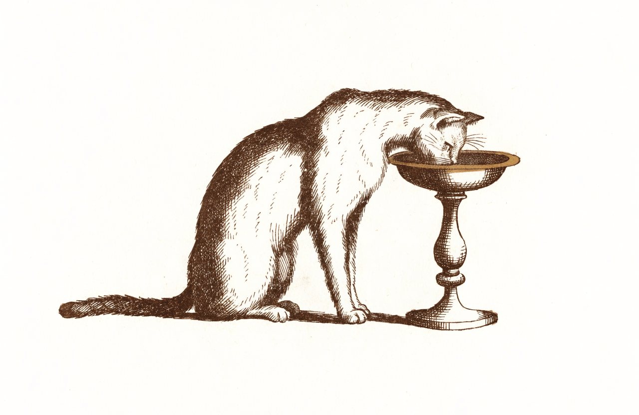 Engraving-style illustration of a seated cat eating from a raised pedestal bowl shaped like a classical urn